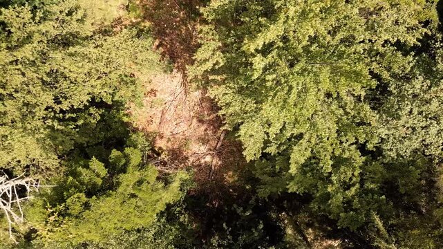 Cinematic Aerial View of a ugged Rocky Mountain Peak hrouded in Mist
