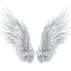 Fototapeta premium White Angel Wings Feathers Spread Out.