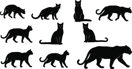 Set of black cat silhouette figures in various poses isolated on white background, feline animal collection illustration © Itz Rakib