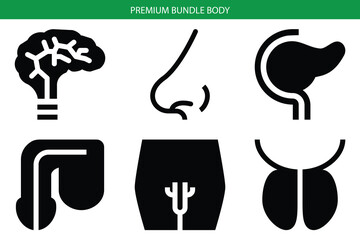 Minimalist human body organ icons set vector 