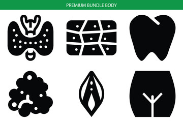 Premium bundle body human anatomy vector icons