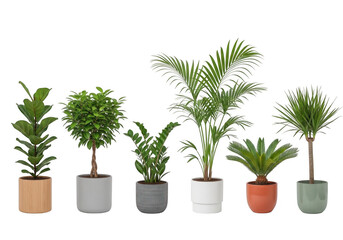 Fototapeta premium Collection of six diverse houseplants in various pots isolated on transparent background
