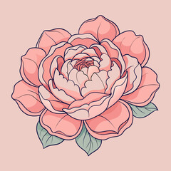 Soft Pink Peony Flower Vector Illustration on Pastel Background