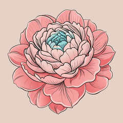 Detailed Pink Peony Blossom Floral Vector Illustration