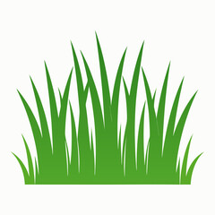 Green Tall Grass Isolated on White Background &ndash; Nature Vector Element