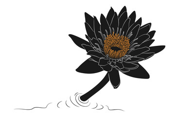 Lotus flower silhouette illustration, vector design for Vesak Day eps 1