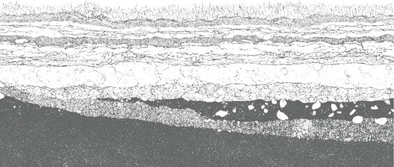 Fototapeta na wymiar Detailed cross section of soil layers and geological strata with varied textures and rock fragments earth