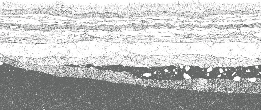 Detailed cross section of soil layers and geological strata with varied textures and rock fragments earth