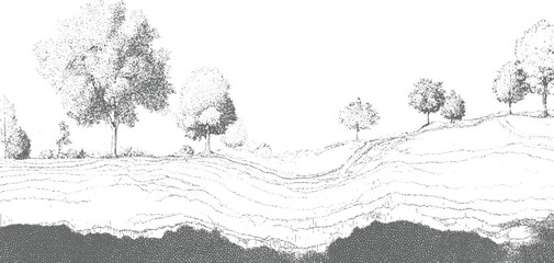 Plakat Grayscale of rolling hills with scattered trees and textured ground