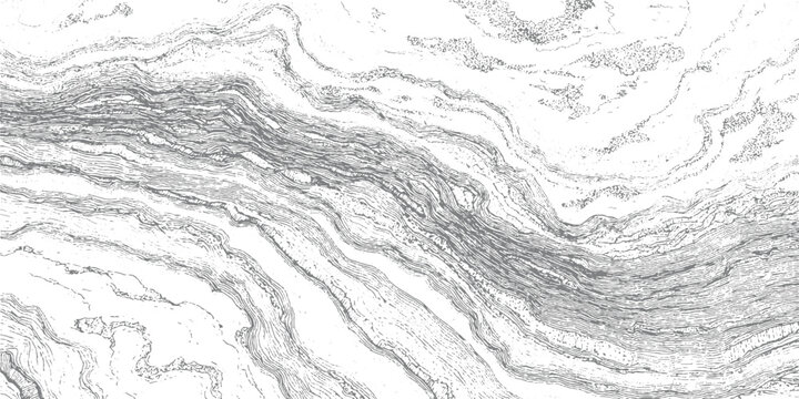 Detailed grey and white abstract pattern resembling geological strata or wood grain texture background
