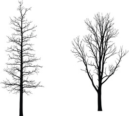 Obraz premium A simple black and white illustration of two bare trees against a plain background.