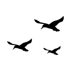 Fototapeta premium Flying Bird Silhouette