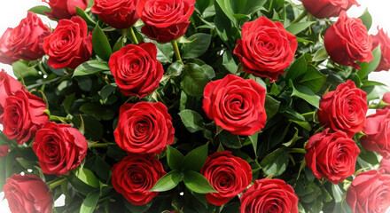 Naklejka premium 3d vibrant red roses bouquet isolated on transparent background