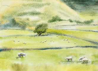 Naklejka premium Rural landscape with field, trees, grass and sheeps. Ecologically clean area with green hills. Village in the summer. Watercolor illustration or background for eco products, banner. Hand drawn illustr