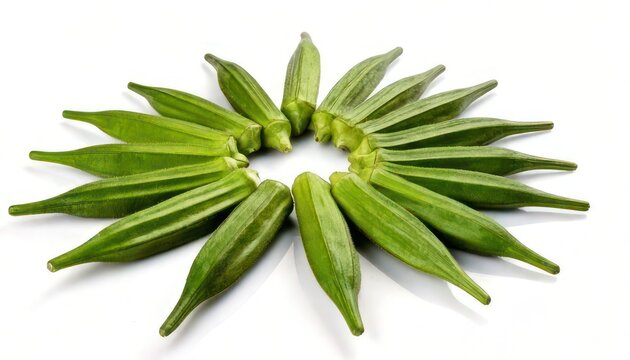 Okra Circle - Fresh Green Okra Pods Arranged in a Circle.
