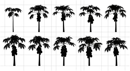 Collection of black palm tree silhouettes on grid background for design and decoration purposes