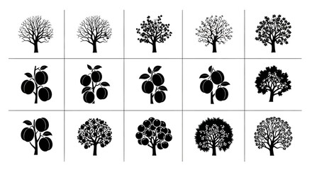 Black silhouettes of trees and apples on white background various stages of growth flat design graphic resource
