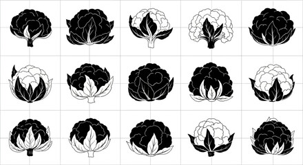Cabbage illustrations in black and white on grid background