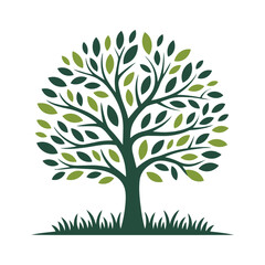 Fototapeta premium Vibrant green and dark green tree with round canopy and grass