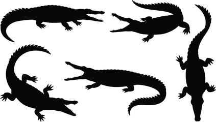 Crocodile silhouette set in different poses, alligator reptile collection, wild predator animal black vector illustration isolated on white background for nature design.