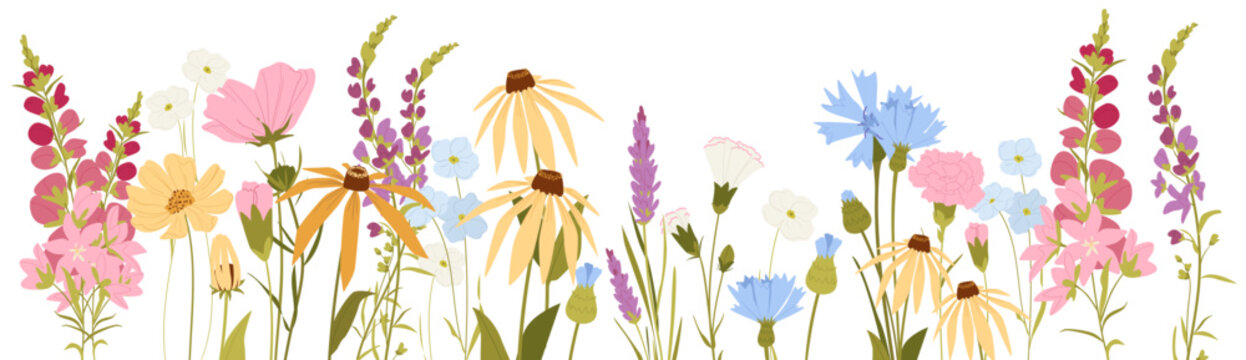 Wild Meadow Flowers Border and Garden Blooms with Bees and Dragonfly in Soft Pastel Botanical Style.
