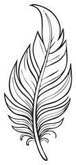 Obraz premium Elegant black and white feather illustration with delicate lines