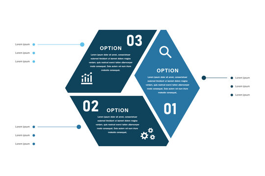 Circular hexagonal business infographic with three options and icons