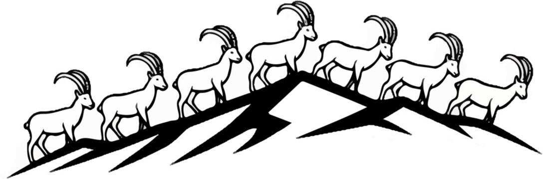 Herd of ibex silhouetted on mountain peaks