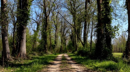Nature-inspired visual concepts exploring seasons, sustainability, eco lifestyle, and mindfulness through immersive perspectives and diverse artistic styles.
