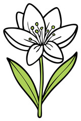 Obraz premium Elegant simple white flower illustration with vibrant green leaves and stem
