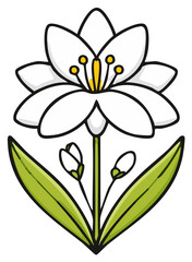 Delicate White Flower Drawing with Green Leaves and Buds Illustrating Floral Simplicity