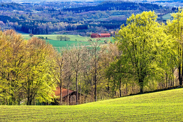 Obraz premium View at a budding countryside landscape a sunny spring day