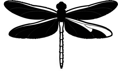 Graphic illustration of a black dragonfly with white wing accents