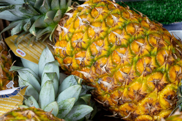 ripe pineapple tropical fruit closeup background

