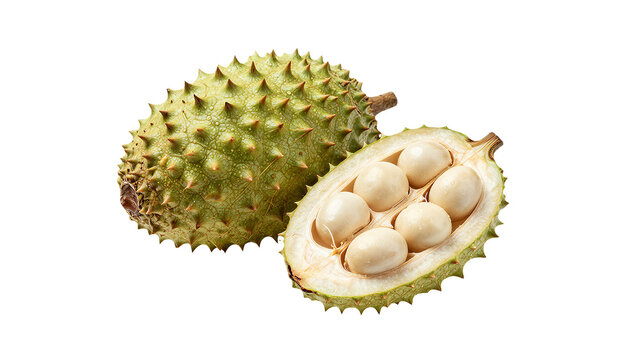 Whole and Half Marang Fruit Cut Open Showing Pods Isolated on White
