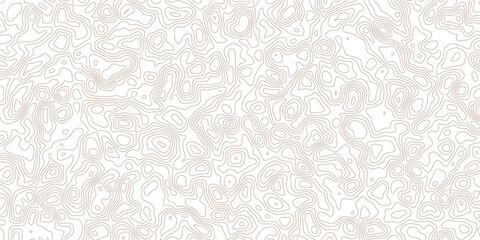 Obraz premium Brown topographic contour lines pattern on white background