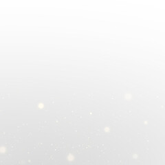 Festive Sparkle Light Overlay