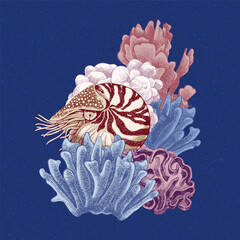 Hand drawn coral reef. Underwater life sketch © Marina Gorskaya