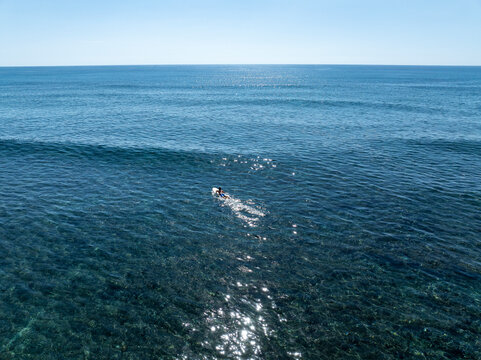 Aerial view surfer paddling out to catch waves Kawaikui Beach Hawaii