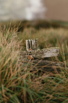 Weathered wooden fence by the sea with dune grass