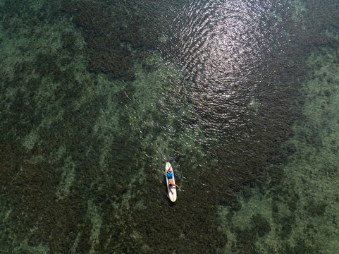 Young male surfer paddling across shallow ocean reef
