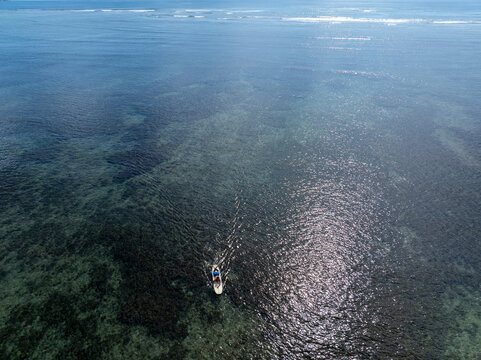 Aerial view male surfer paddling longboard in from the surf in Hawaii