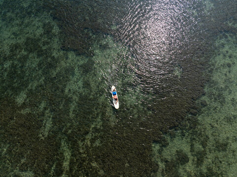 Young male surfer paddling across shallow ocean reef