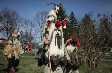 Obraz premium Zemen, Bulgaria - March 15, 2025: Masquerade festival Surva in Zemen, Bulgaria. People with mask called Kukeri dance and perform to scare the evil spirits.
