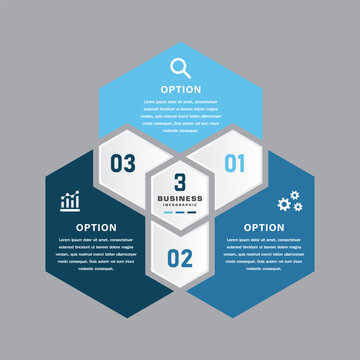 Hexagonal business infographic with central hub and three options