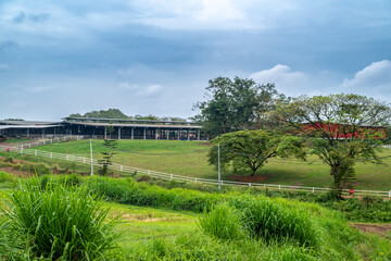 Obraz premium Close-up view of lush green grass growing on a rolling rural hillside or pasture under a cloudy sky.