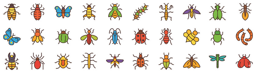 Vibrant insect illustrations showcasing various species and colors from a top-down viewpoint © Debra