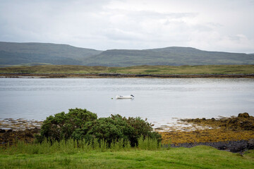 Small white boat on a calm Scottish loch, with green hills in the background under a cloudy sky