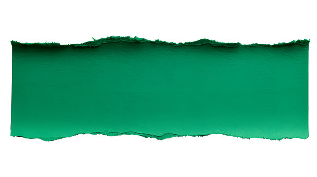 Textured green paper piece with torn edges isolated on transparent background