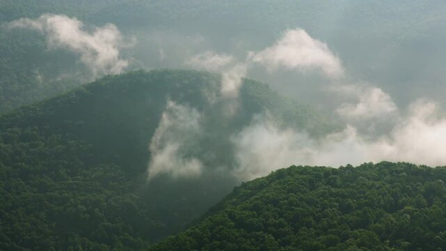 Lush green mountains shrouded in mist